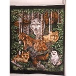 North American Wildlife